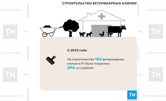 2013 елдан Татарстанда 126 ветеринар клиника төзелгән