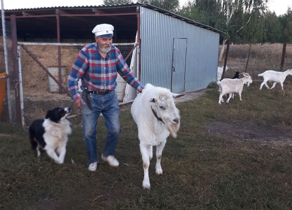 Татарстан фермеры яман шешкә каршы дару уйлап тапкан