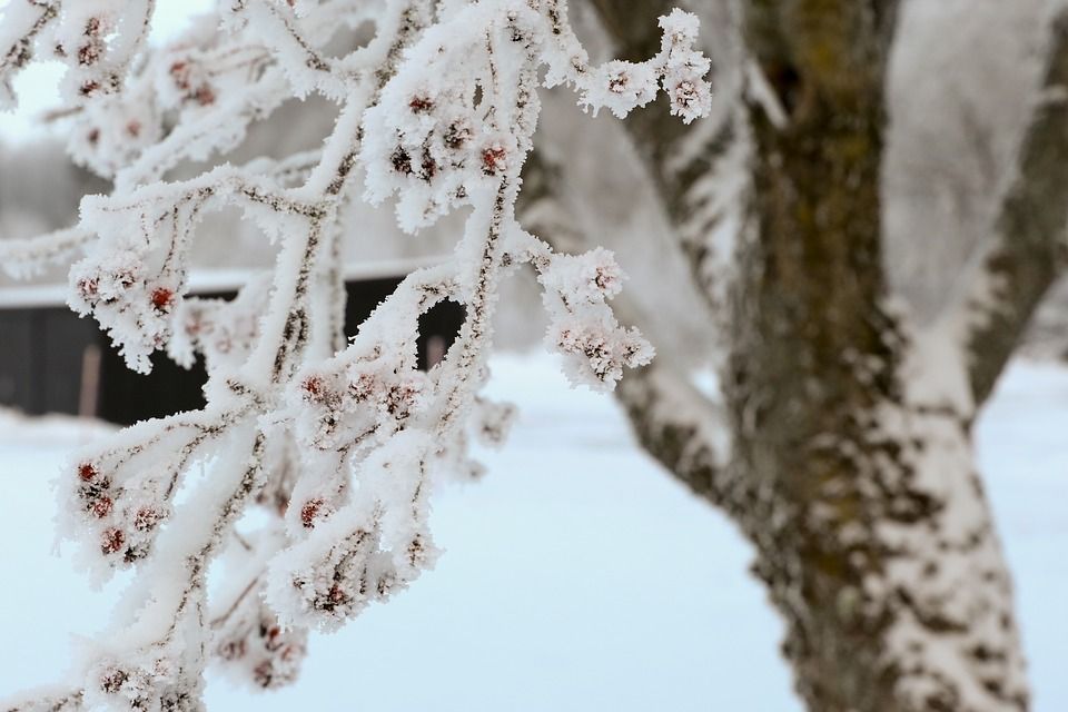 Чын кыш җитә: пәнҗешәмбе 15 градуска кадәр суытачак