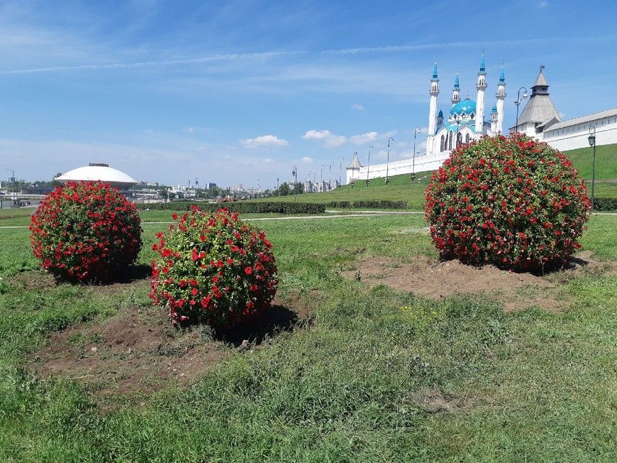 Казан Кремле диварлары янында зур чәчәк шарлары барлыкка килде