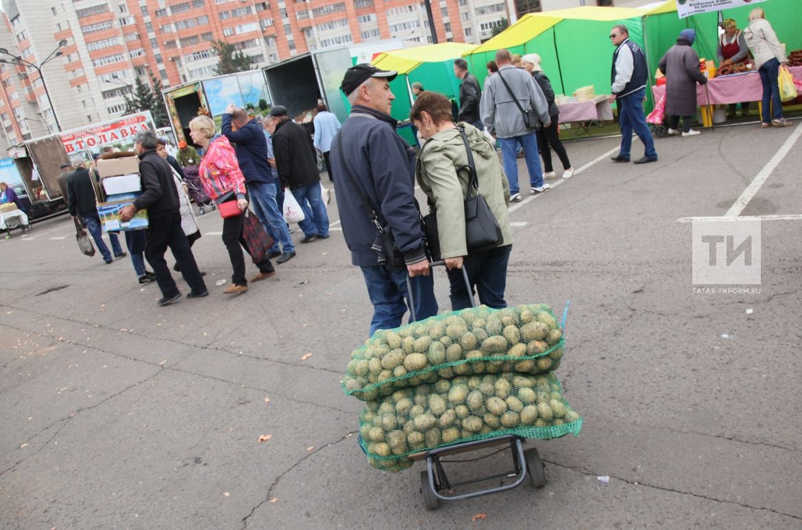 Фермерлар Россиядә бәрәңгенең кыйммәтләнүе турында кисәтә
