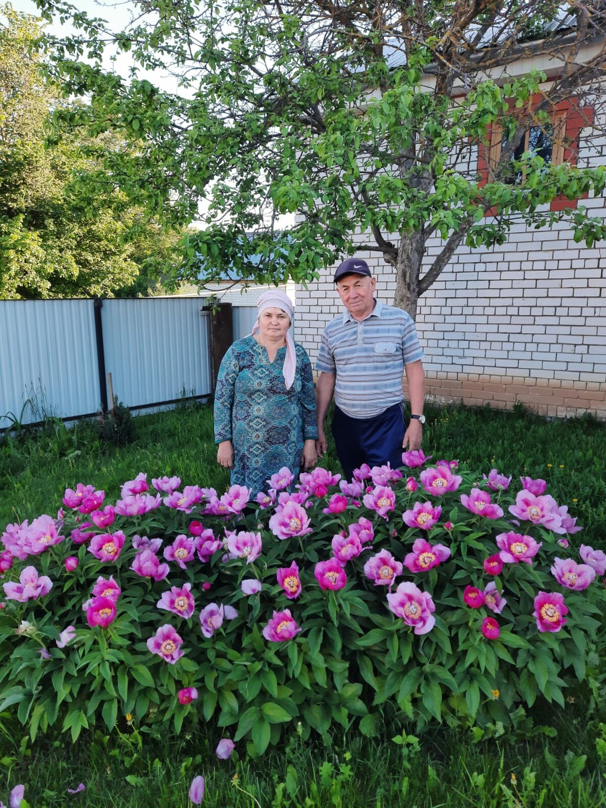 "Өйләнешкәч, бирнә итеп бер баш умарта оясы бирделәр..."