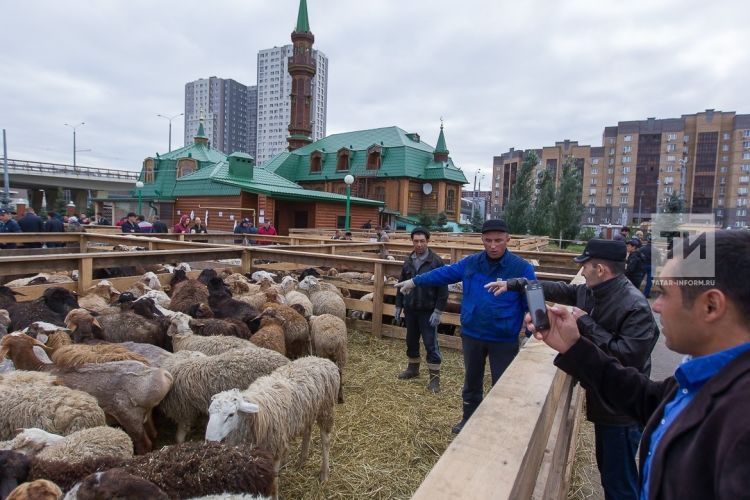 Корбан бәйрәмендә четерекле хәл килеп чыккан