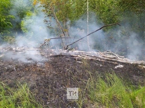 Урманнарга якын авыллар, гафу итегез! Сезгә “бәйрәм шашлыгы” юк