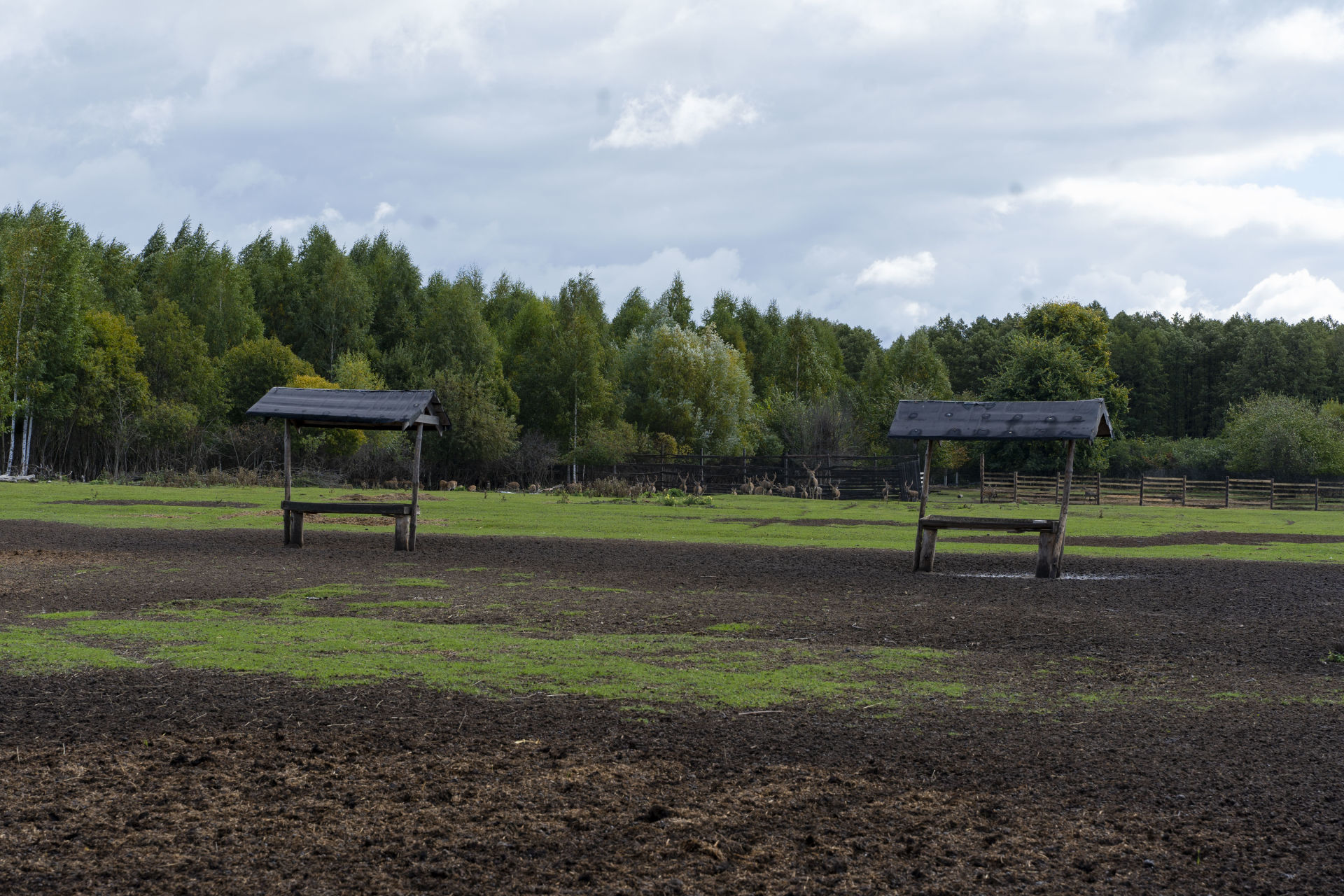 Балык Бистәсе районы Степановка авылында урнашкан “Эко ферма”дан фоторепортаж