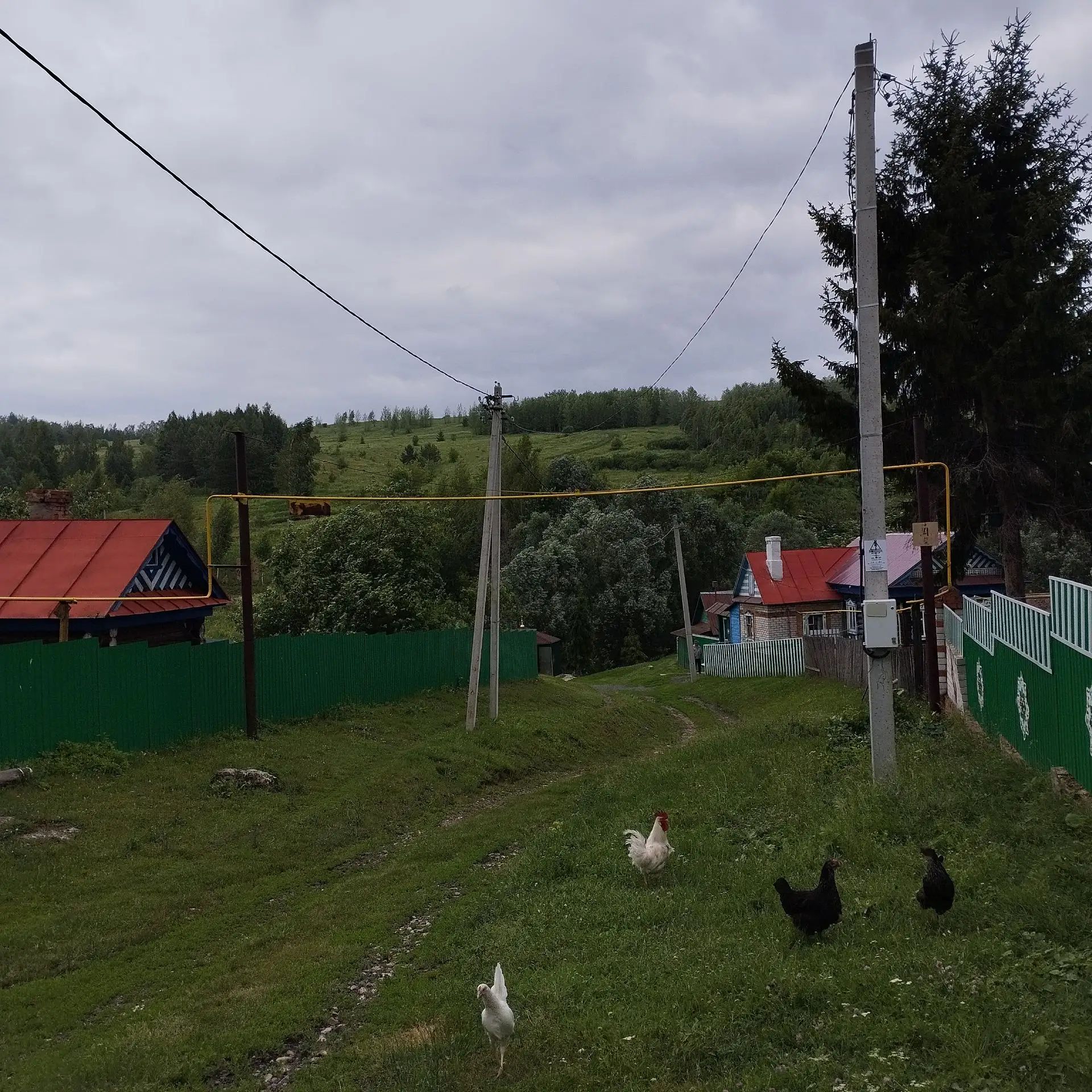 Сыер фото: Гарифуллина
