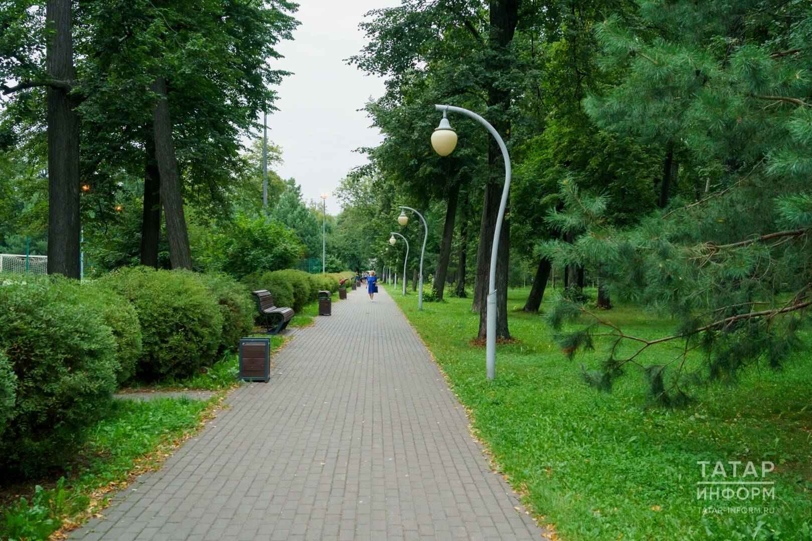 Парк. Фото: ТИ