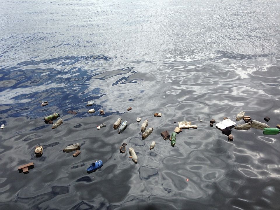 Тын океанда экологлар 40 тоннадан артык чүп җыйган