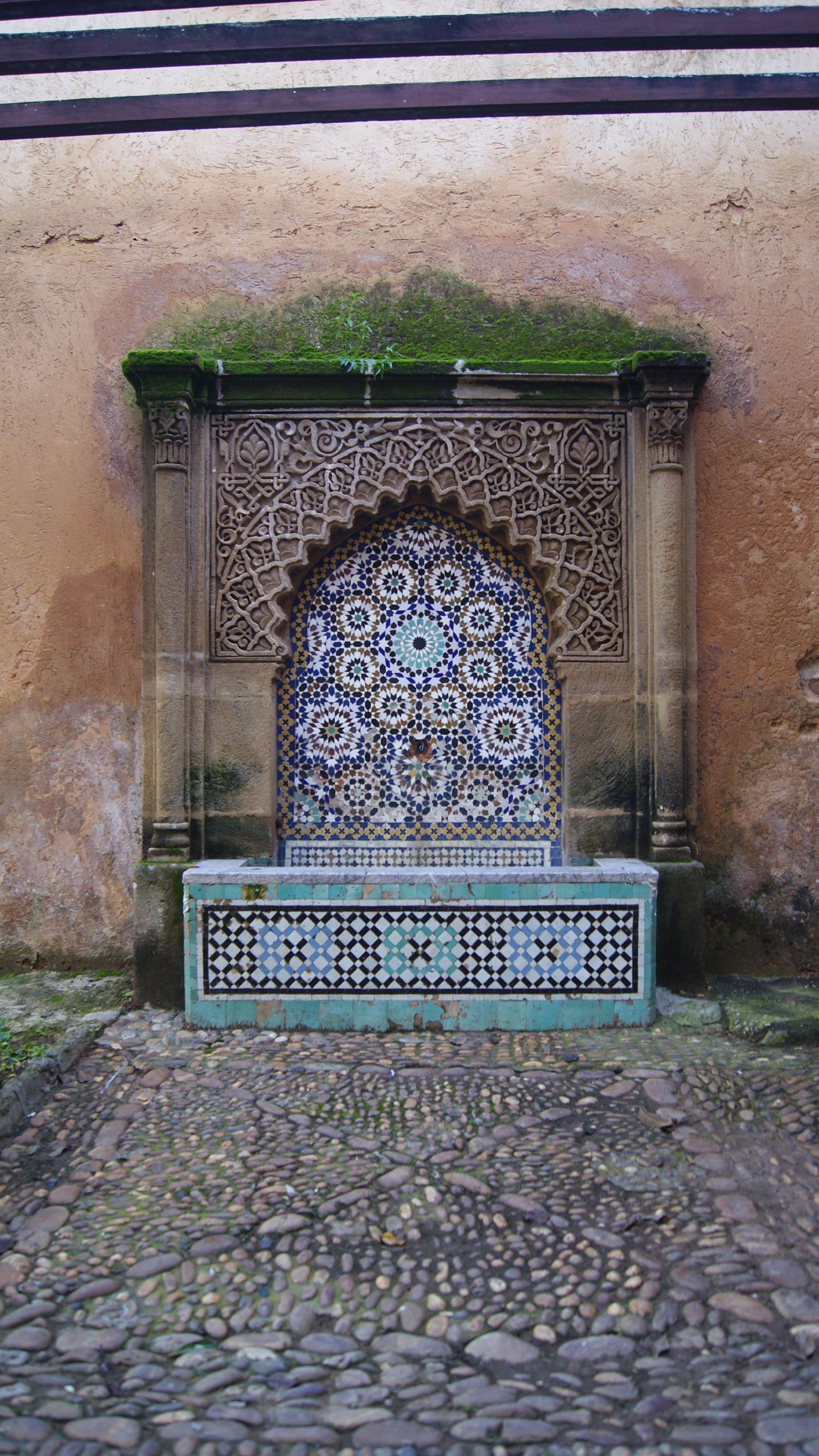 Мароккода яшәүче Мария: «Кияүгә чыкканда ишәккә утырырга әзер бул» (+фотолар)
