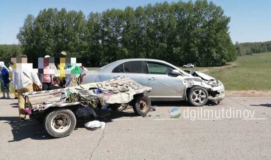 Радий Хәбиров машина белән бәрелешкәннән соң атын югалткан иргә ат бүләк иткән