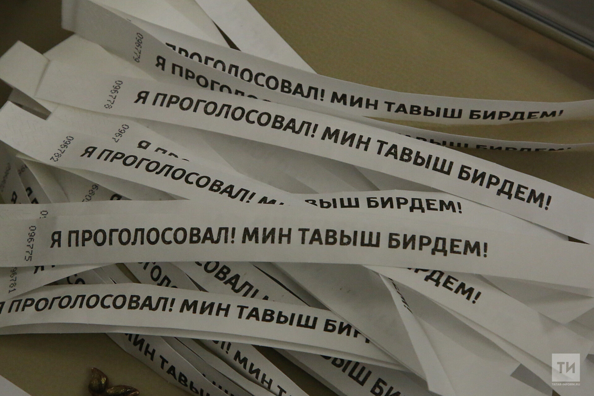 Россиядә сайлаулар кампаниясен оештыру эше - бөтен дөньяга үрнәк