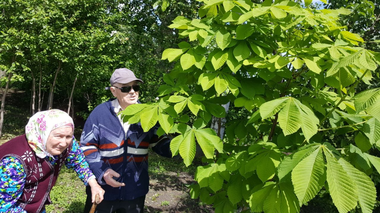 “Башыма яңа яулык та бәйли алганым юк, кияүгә чыгарга уйламыйм да!”