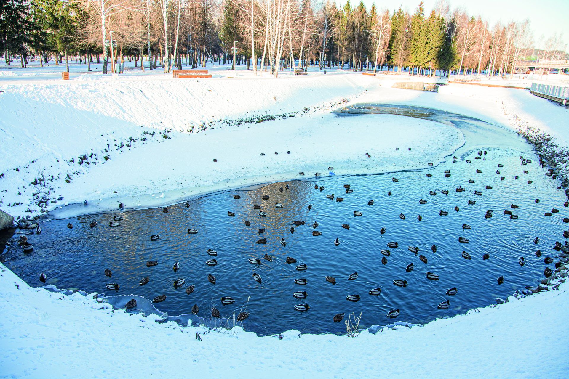 Чын кыш шундый булырга тиеш тә инде!