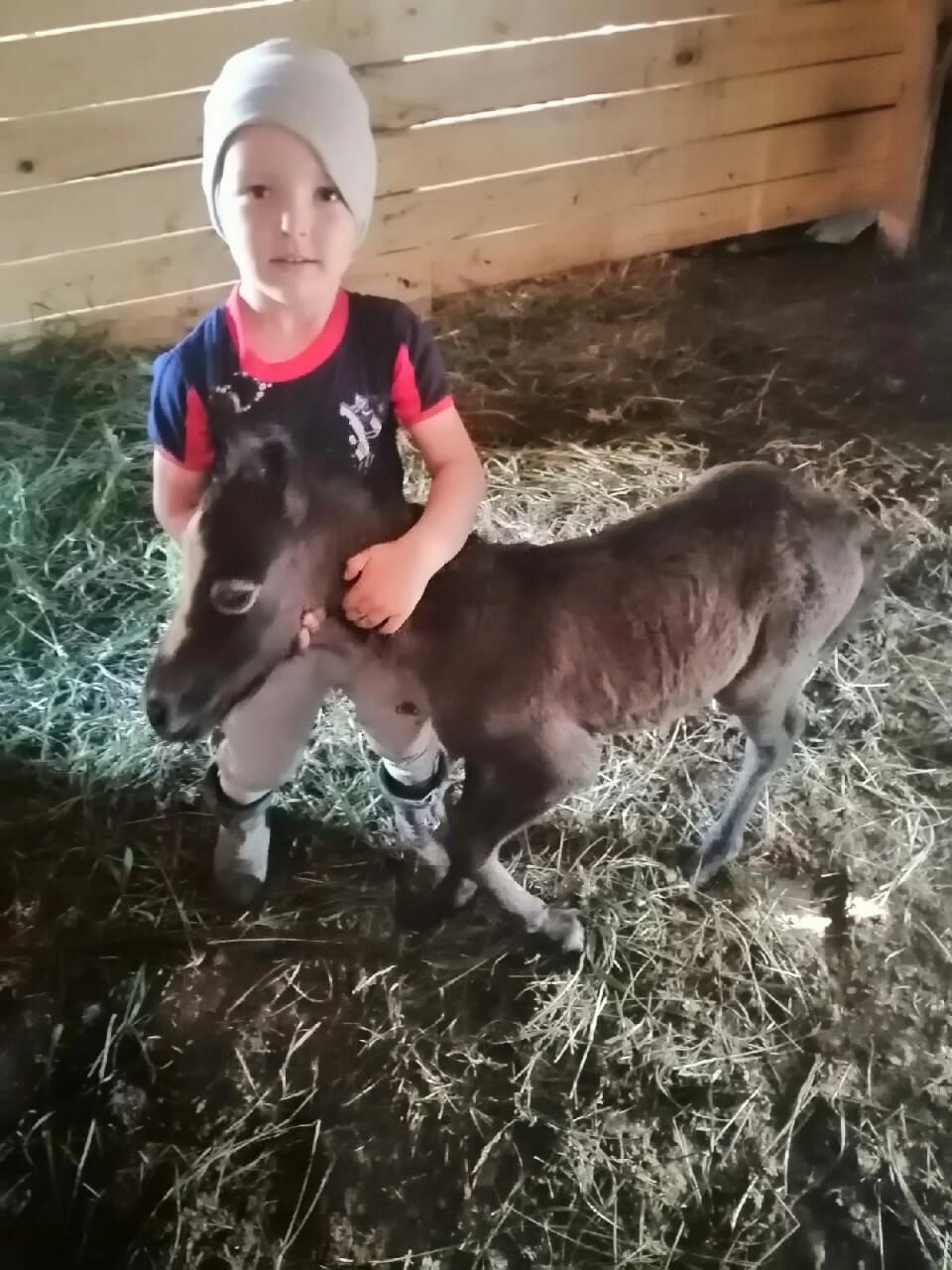 «Пони белән мәйдан тирәли бер әйләнү 250 сумнан башлана»