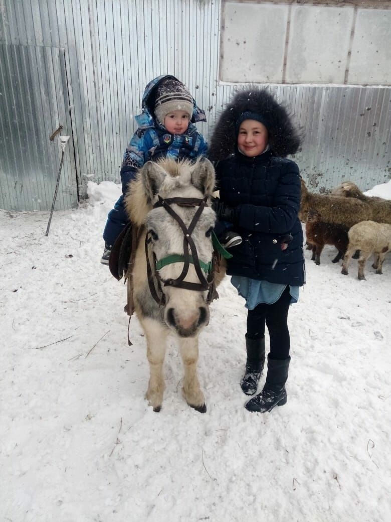 «Пони белән мәйдан тирәли бер әйләнү 250 сумнан башлана»