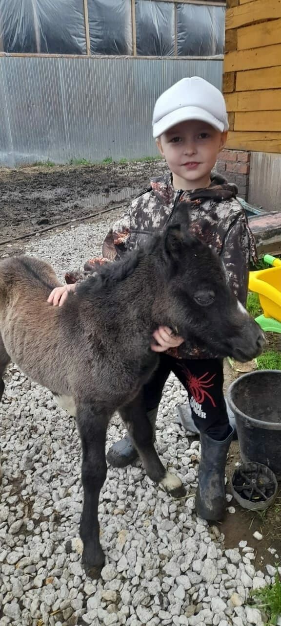 «Пони белән мәйдан тирәли бер әйләнү 250 сумнан башлана»