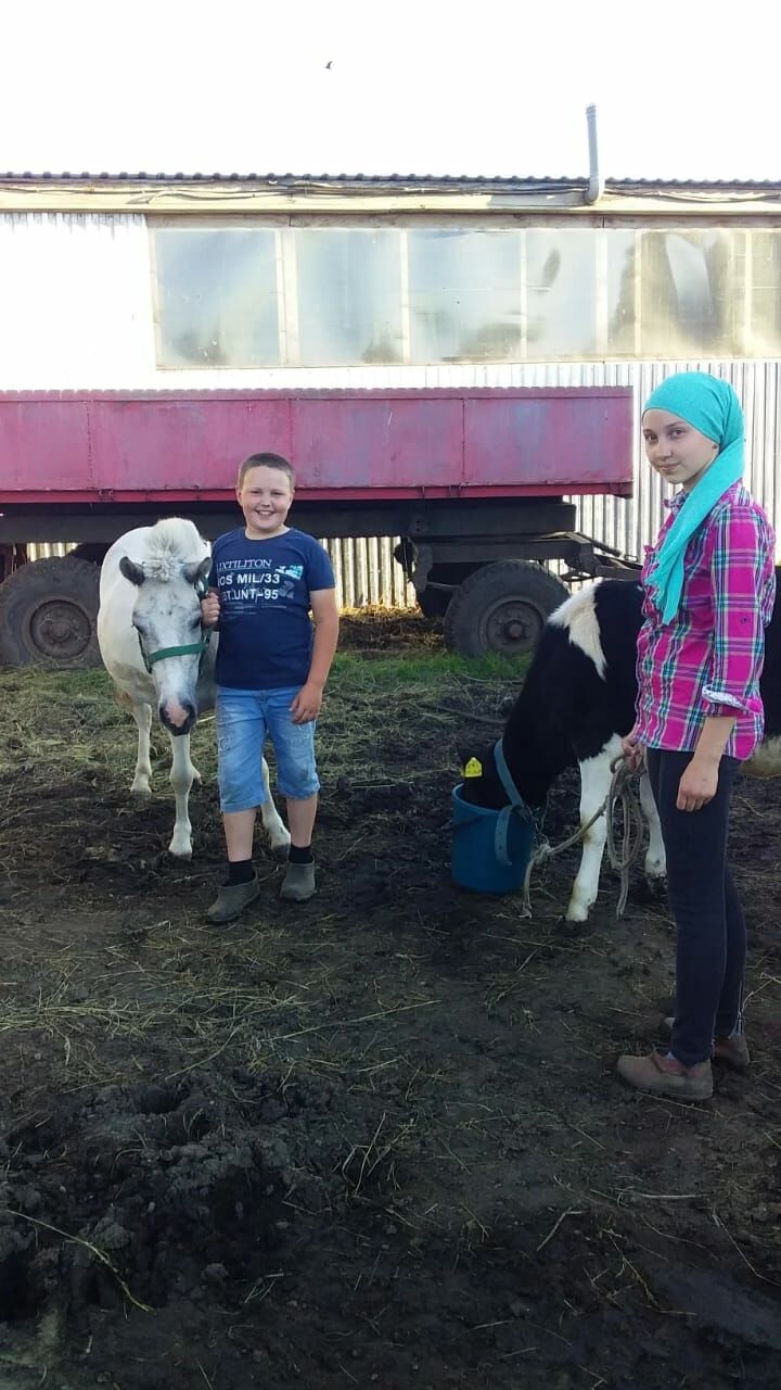 «Пони белән мәйдан тирәли бер әйләнү 250 сумнан башлана»