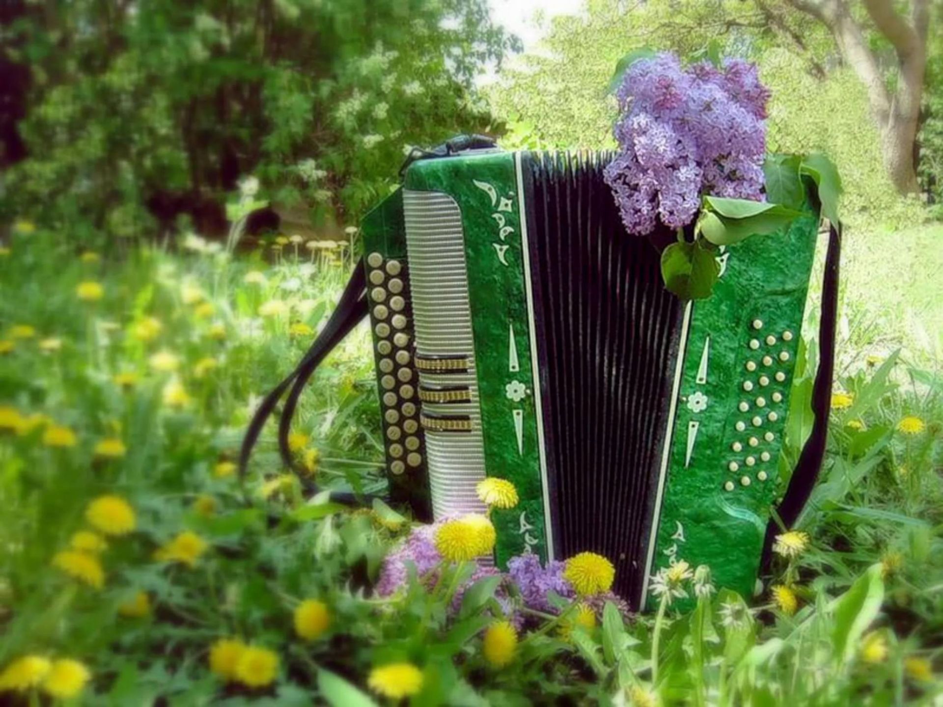 “Гармунчыга кияүгә чыгам!”