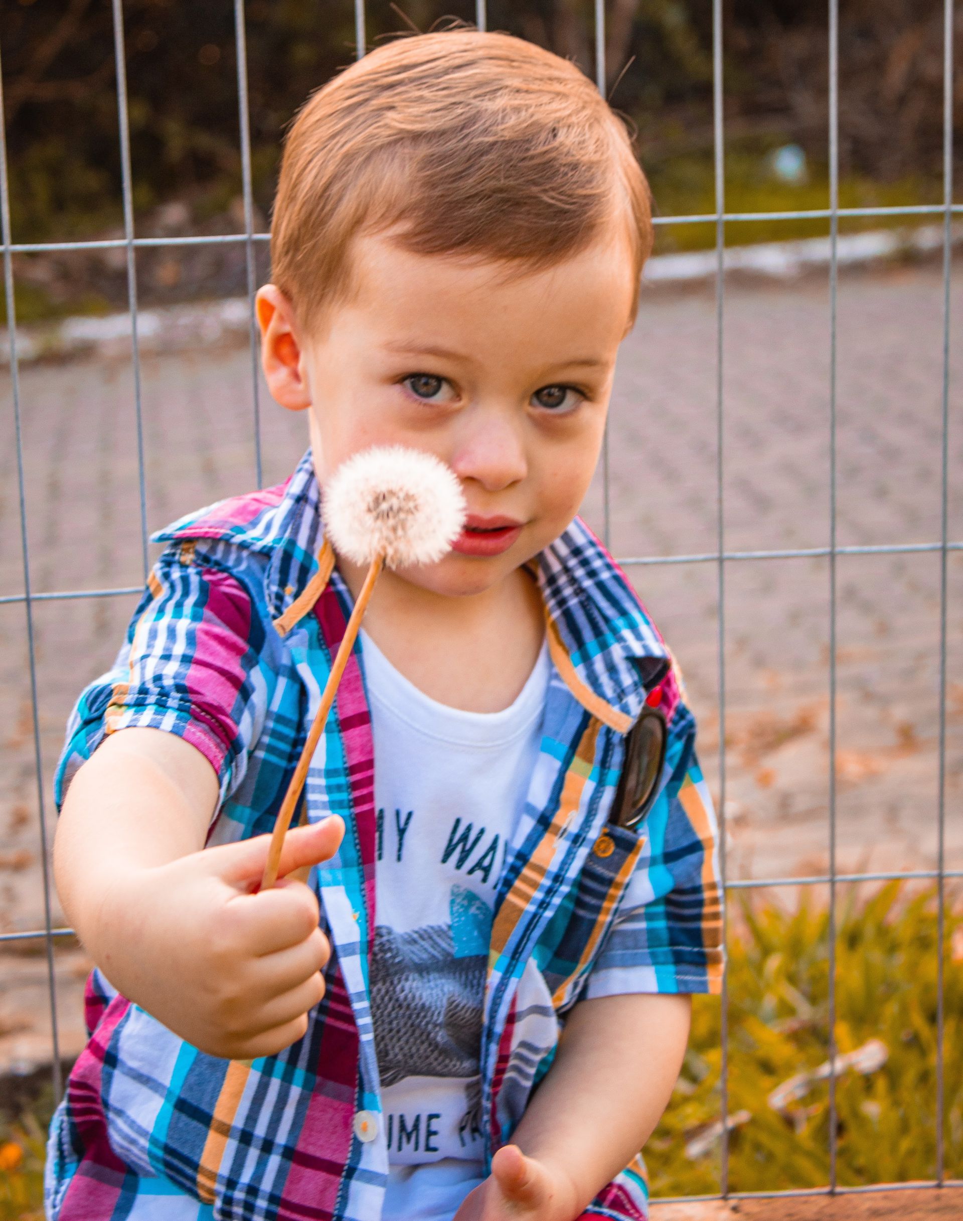 “Бар, борчымый тор әле”, “Әнә телевизор карап тор шунда”...