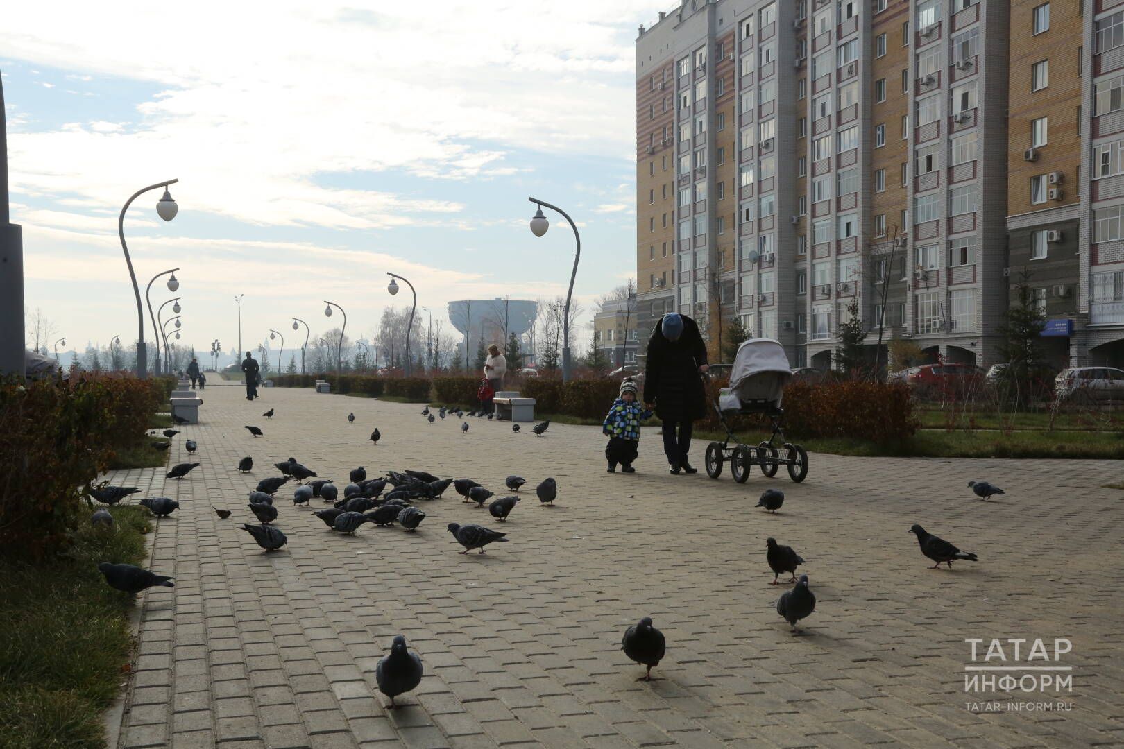 Энергиягез күп, ә менә сабырлык аз: 24-30 сентябрьгә йолдызнамә