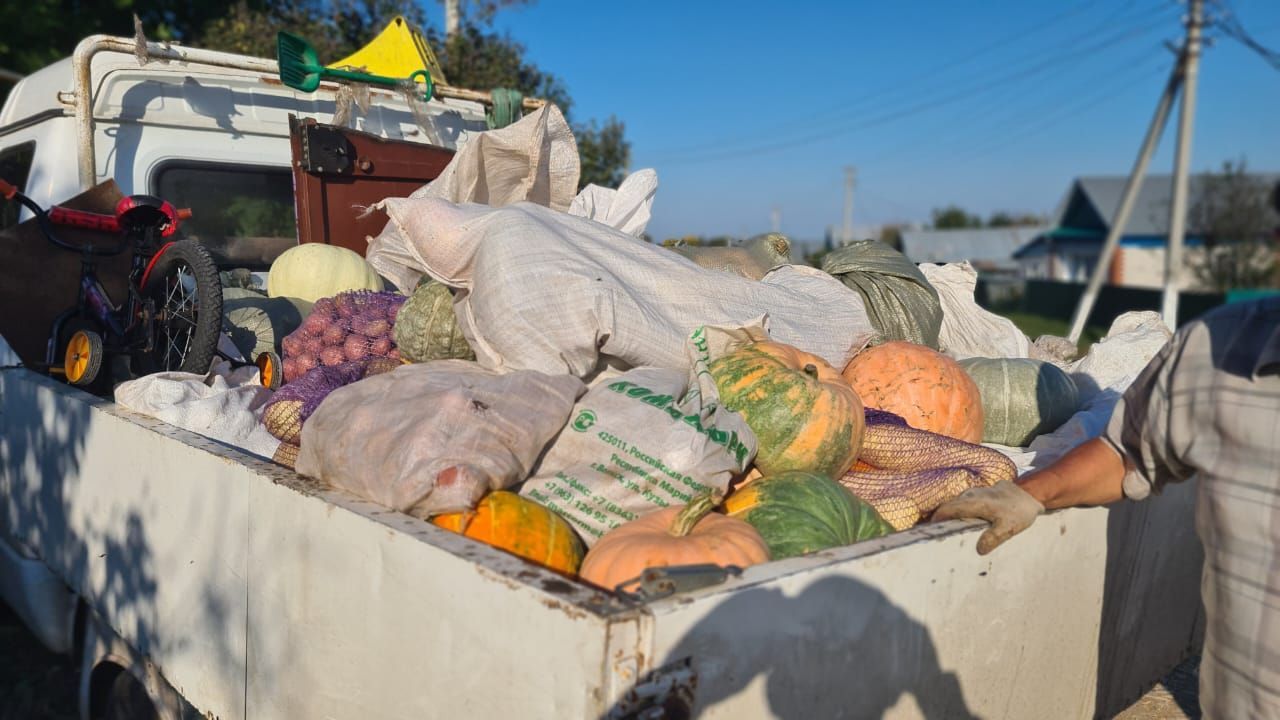 Саламнан гошер сәдакасы