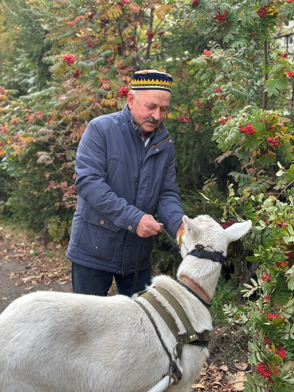 «Тагын кил, Муллахмәт абый, көтәбез!»