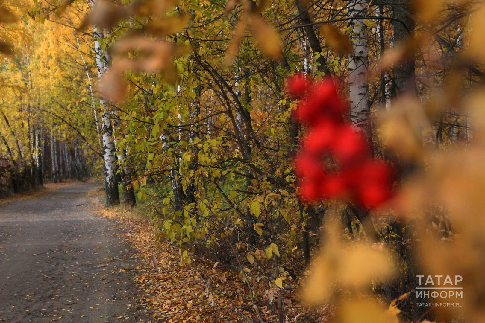 Көзге ачы җилләрдә... (моңсу хикәя)