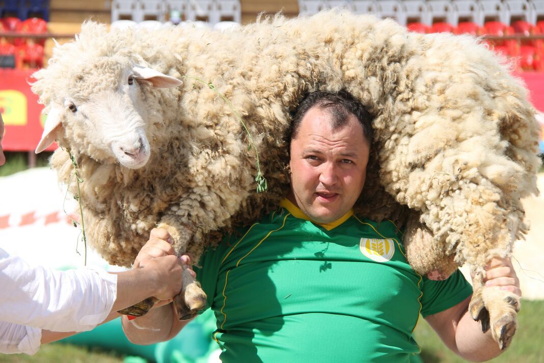 «Көрәшебез дәвамлы булсын дип, тренерлыкка киттем», яки Фирдүс Зәйнуллин Татарстан чемпионатында көрәшерме?