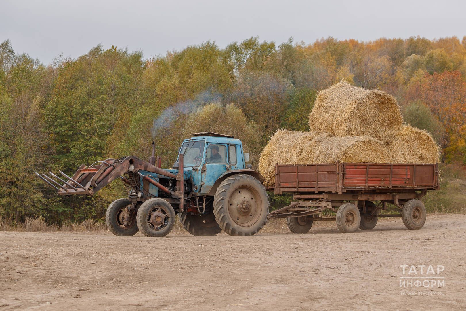Авыл халкы быелгы кышка нинди кәеф белән керә? Нинди борчулары, теләкләре бар?