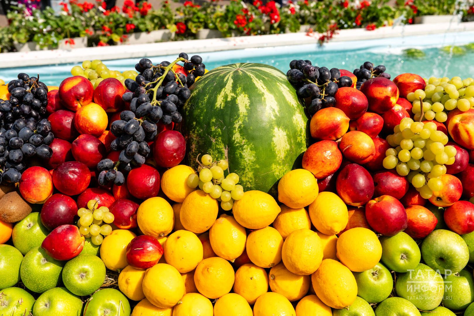 Лимон үстерү серләре