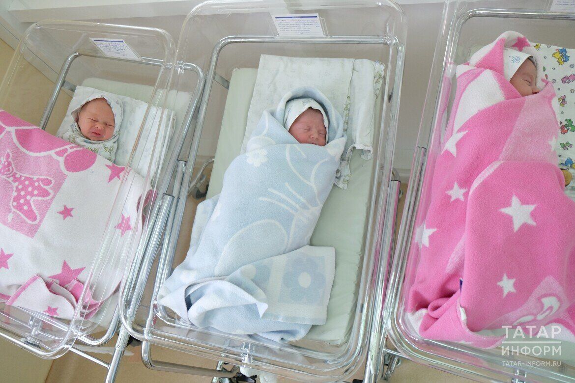 Бәрәңге үстерелмәсә, бәби табу да бетәчәк