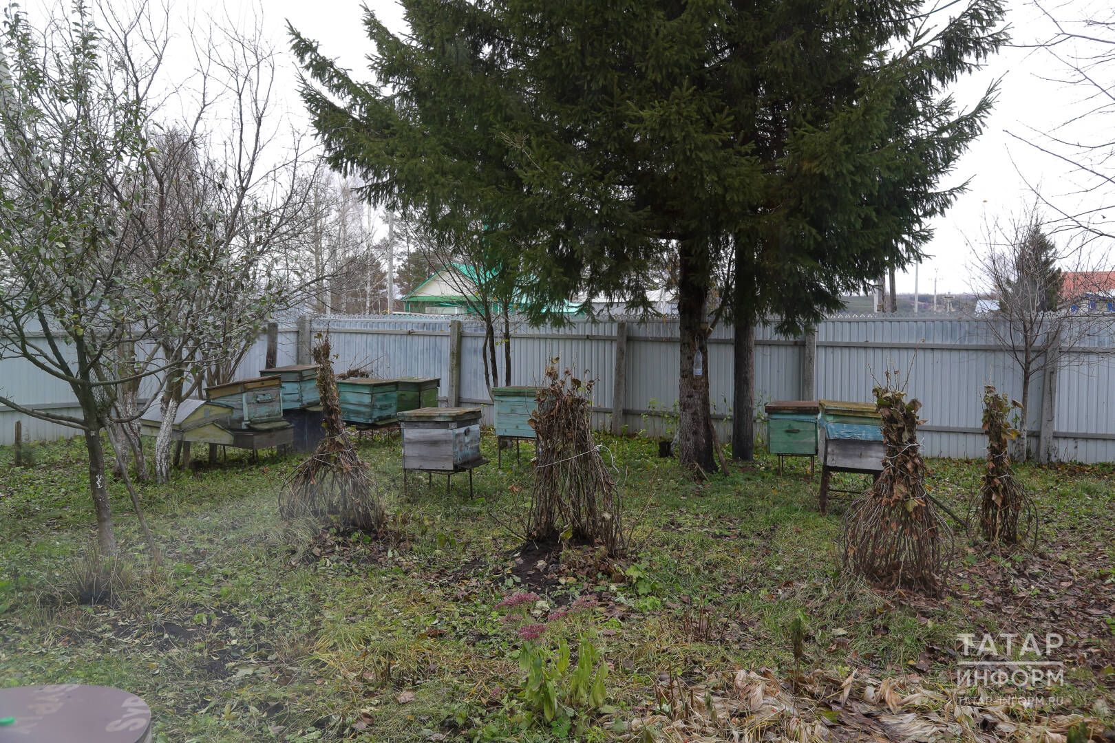 Умартаңны кышка әзерләдеңме?