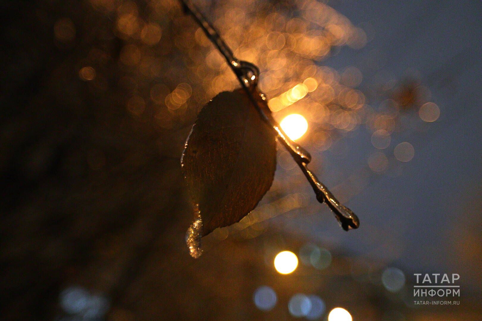 Тормыш язган хикәя: «Янгыр кызы» (икенче өлеше)