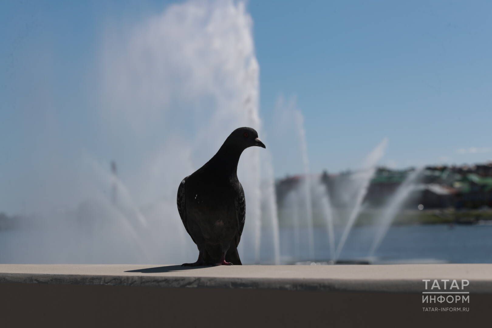 Бер генә көн калгач, бер генә көн... (хикәя)