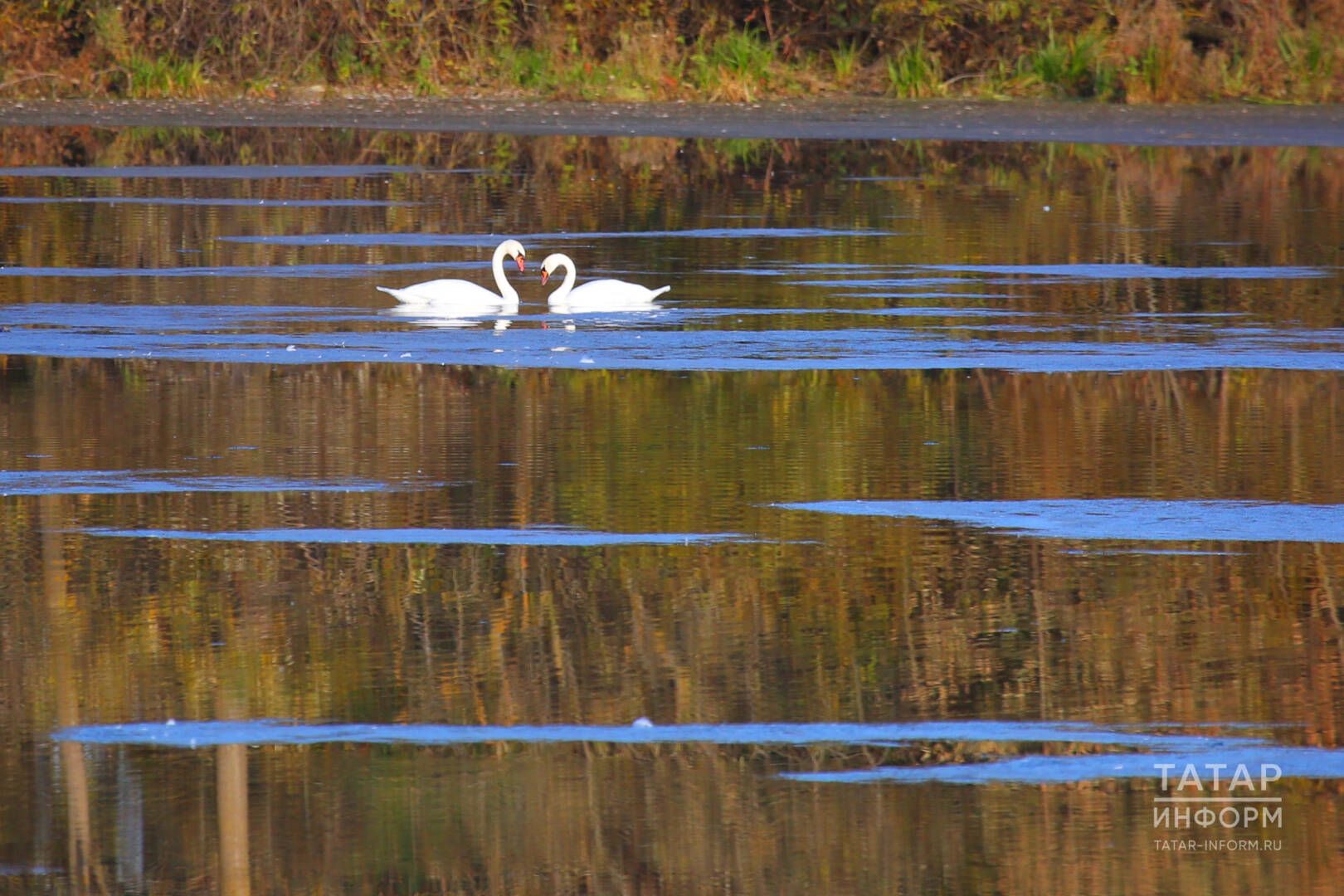 “Түз Саимә, түз, сабыр бул, сабыр...” дип кабатлый иде ул үз-үзенә...