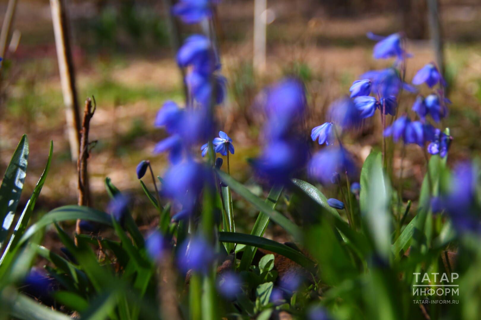 Ахырдан түзмәдем, араларны өздем