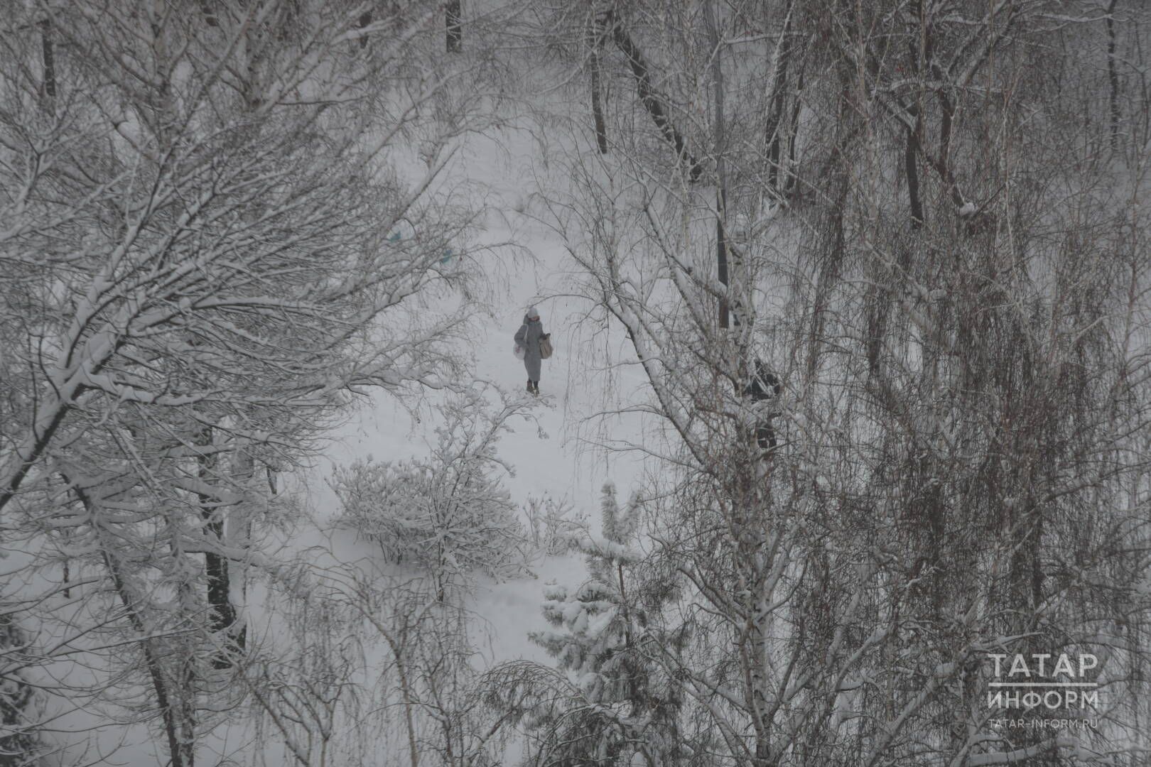Үткәннәрдә “казынмагыз”: 10-16 декабрьгә йолдызнамә