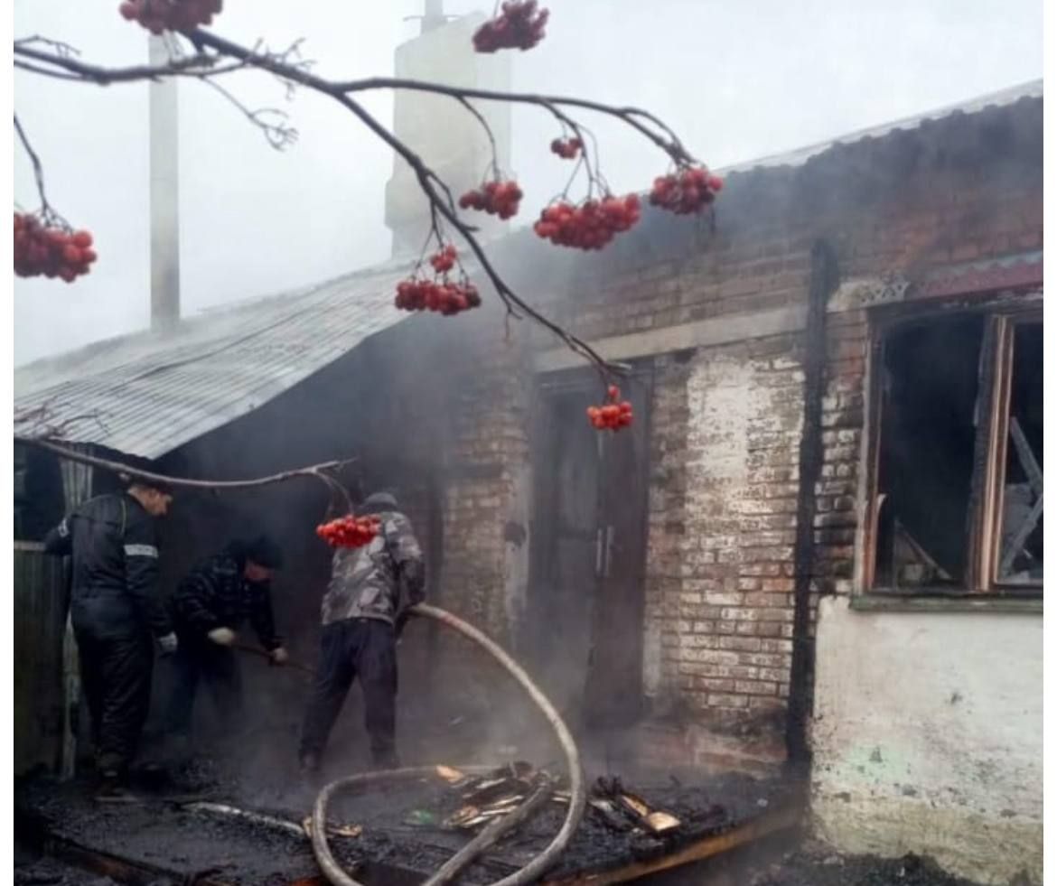 «Янып үлә дигән җиреннән, без Гүзәл апаны тәрәзәдән чыгардык...»