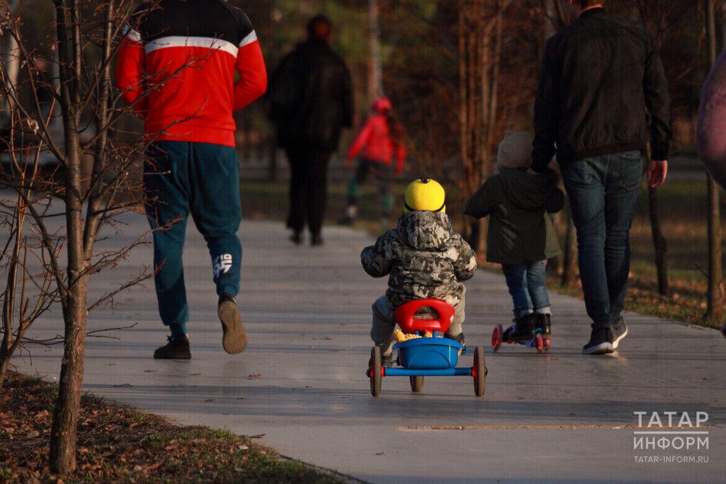 Гаиләм минем (сыйныфтан тыш дәрес)