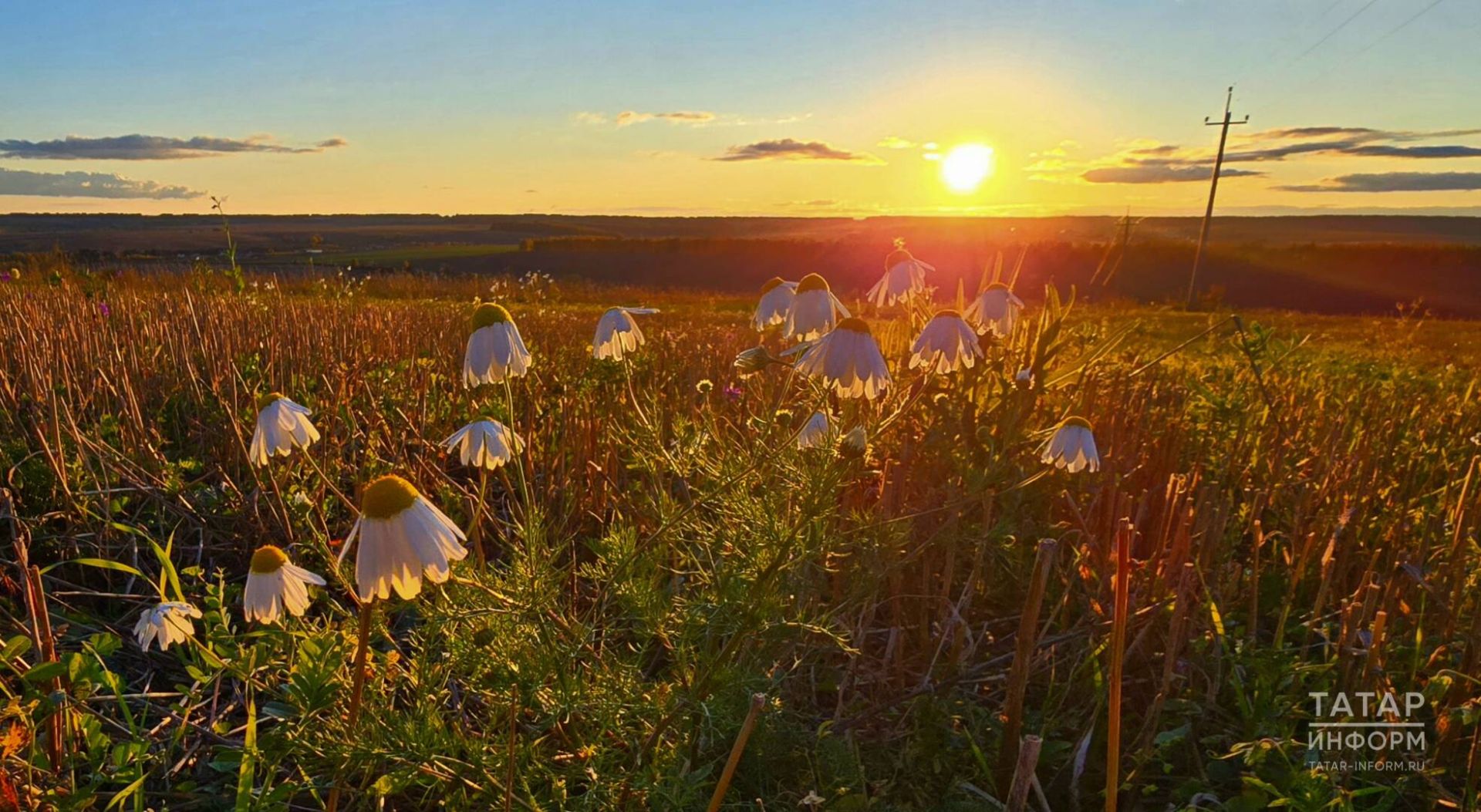 Болыт артында кояш бар... (хикәя)