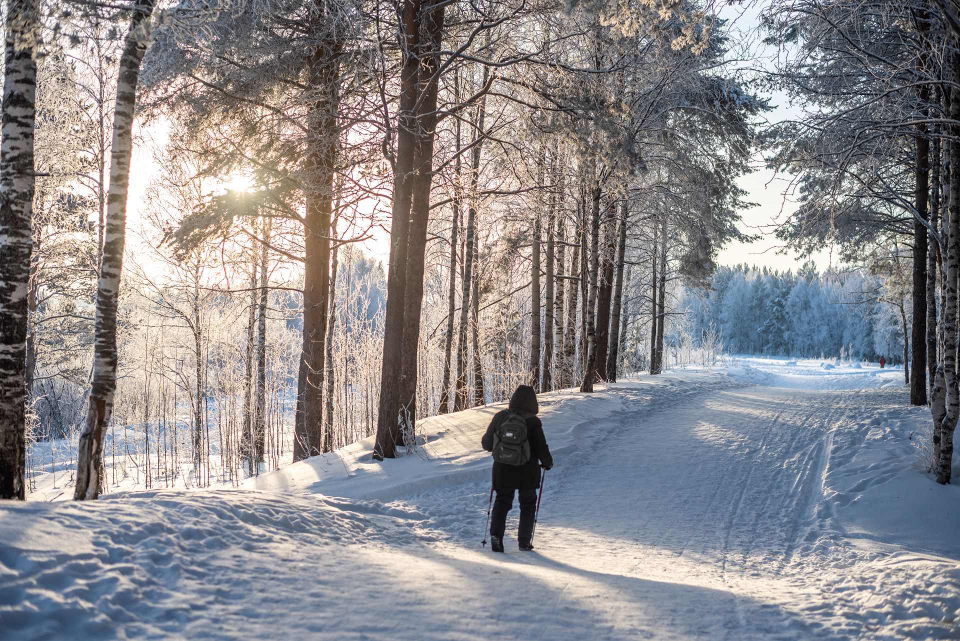 Урамда йөрү, йога һәм кортизол-контроль: стрессны җиңәргә нинди активлык ярдәм итәчәк?