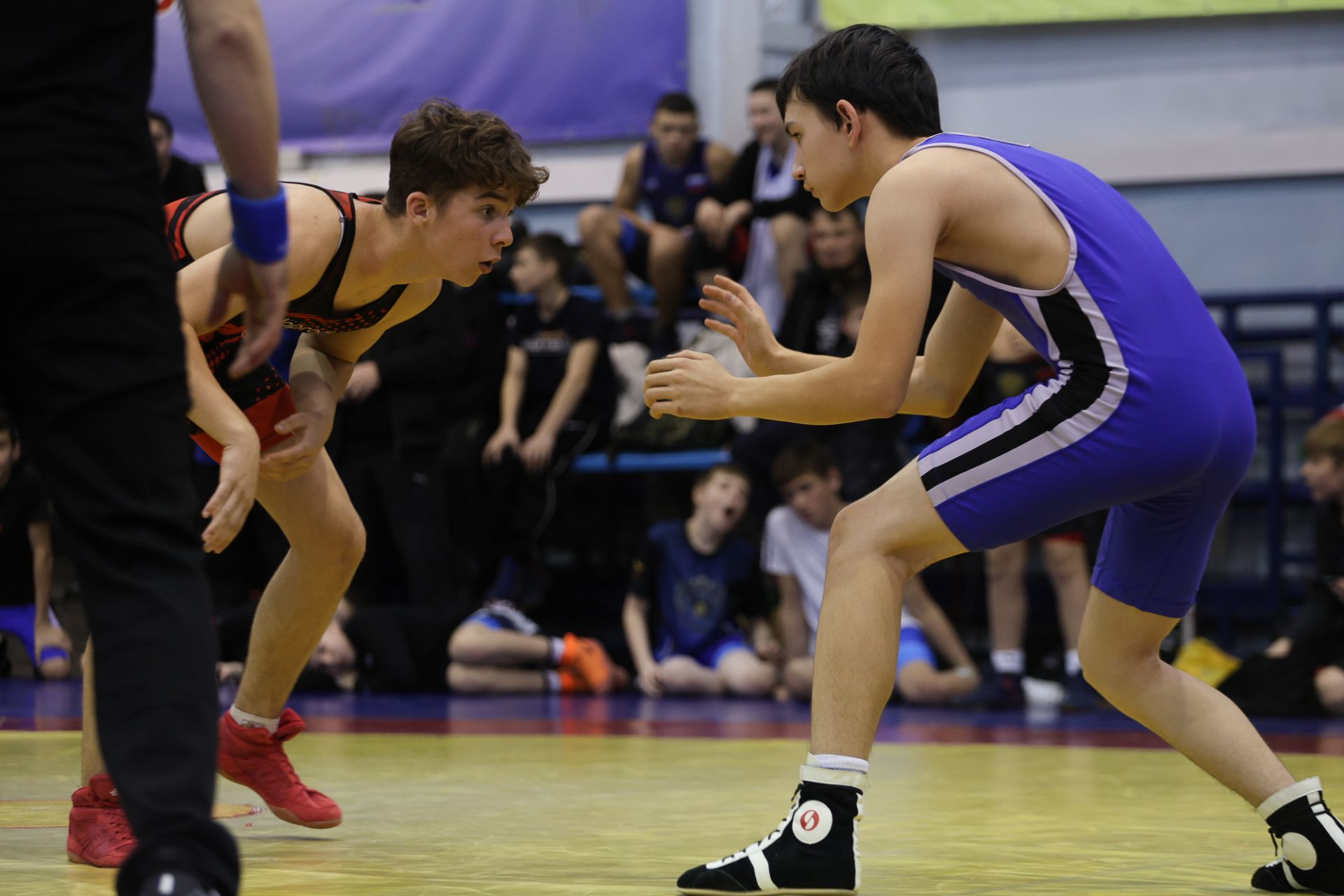 Казанда Шамил Ганиев истәлегенә ирекле көрәш буенча турнир узды