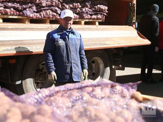 Болайга китсә, фермер хуҗалыклары кимергә мөмкин