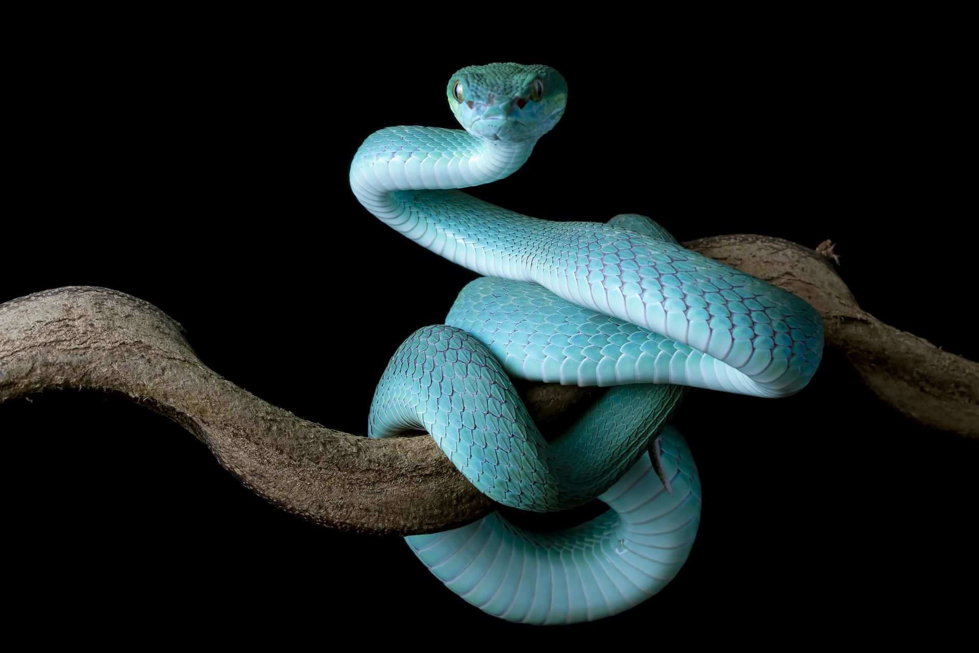 Тормыштан алынган хикәя: «Ул тавыш чыгаруымны көтте. Тик мин...»