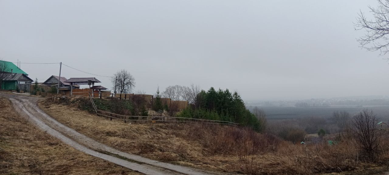 Ачлыктан урман белән черек бәрәңге коткарды