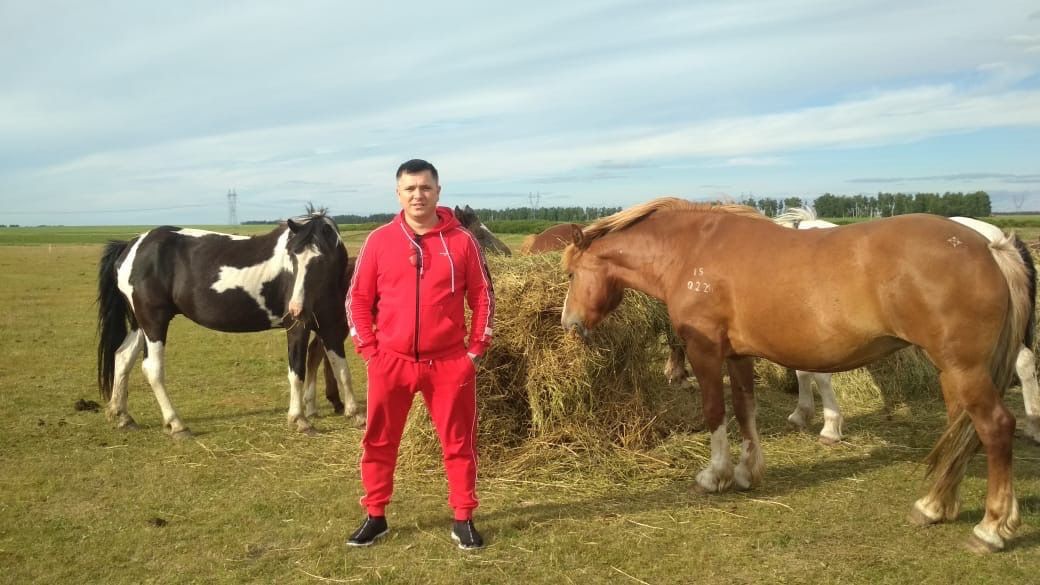 Илназ Минвәлиев атын миллионга саткан, инде көтү көтә...