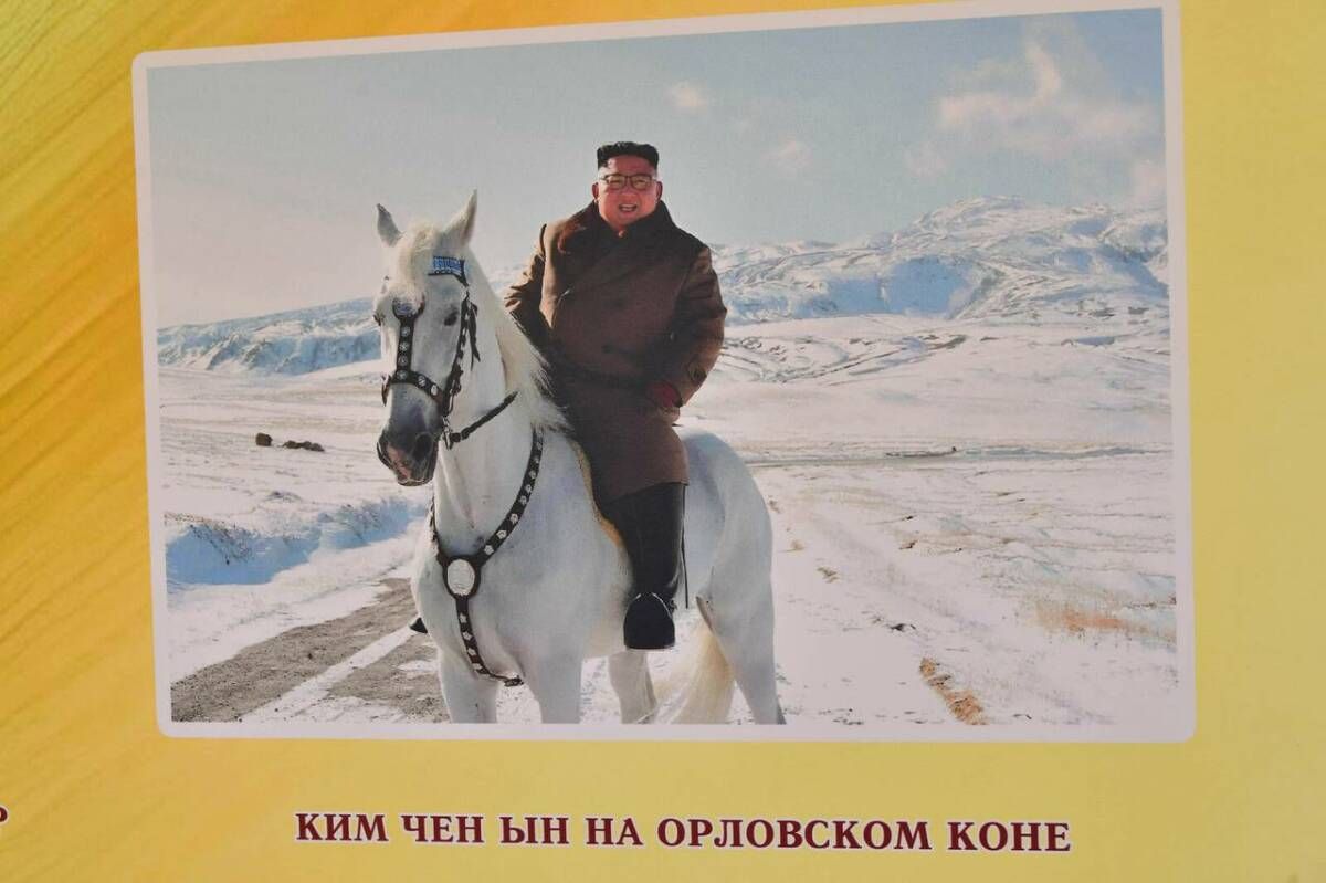 Яңа Чишмә Ким Чен Ын кавалеристларын атлар белән тәэмин итә?
