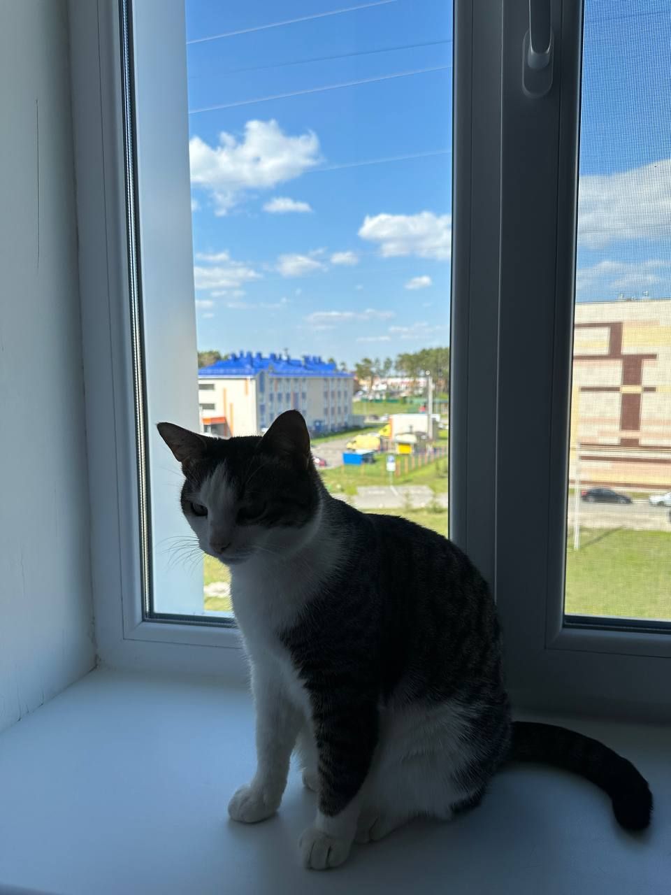 Күп тә үтми, ул да бездән мәңгелеккә китте