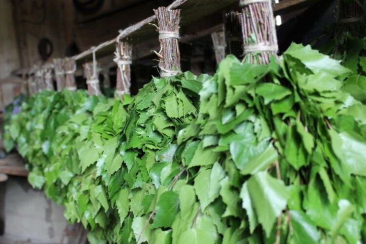 Каен себеркесен ясау нәрсәдән башлана?