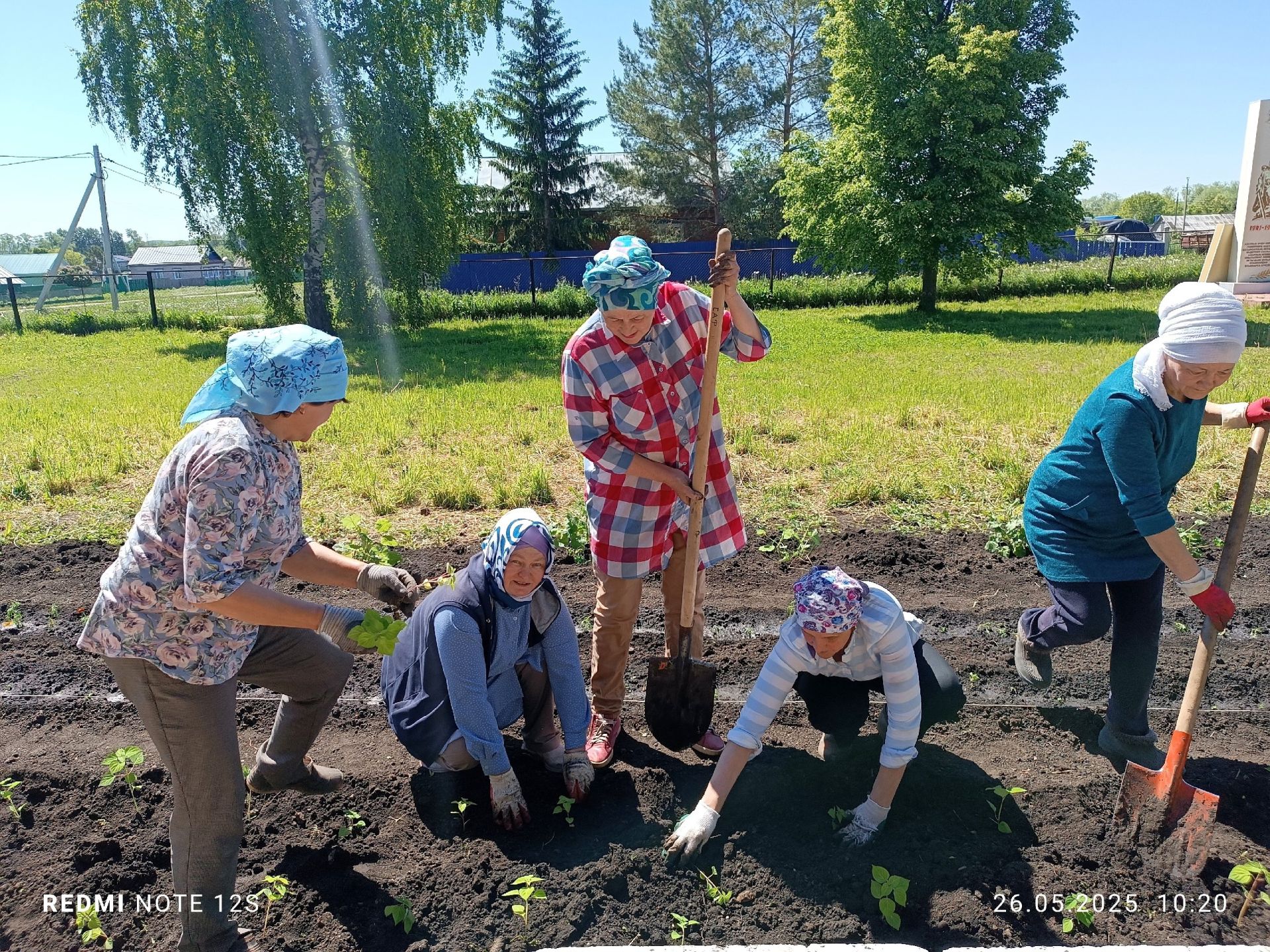 Сепаратка сөт калдырган идем... Тәрәзләр дә әле юмаган... Кичке ашка нәрсә пешерим икән...